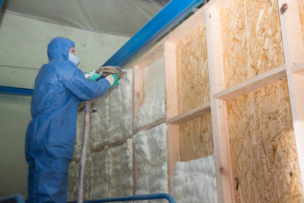 Best Insulation Replacement Services  in Pomona, KS